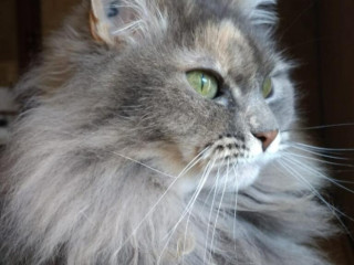 recherche-homme-ou-couples-pour-bon-moment