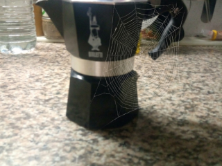 rico55ans-bouge-chez-actif