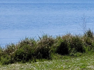 plan-sexe-pour-homme