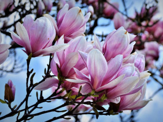 gentil-garcon-cherche-son-homme-plutot-actif