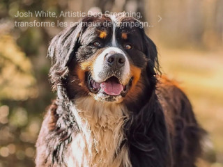 hetero-en-decouverte