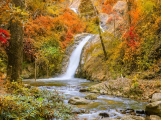 recherche-actif-uniquement