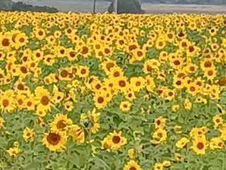 un-homme-banal-de-la-soixantaine