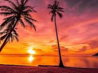 h-passif-cherche-plan-sans-lendemain