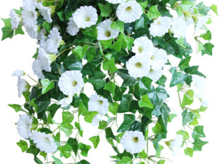 maitre-et-sa-soumise-pour-femme