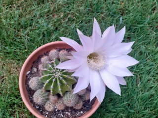 senior-bi-pour-moments-coquins