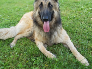 connaissance-et-rencontres