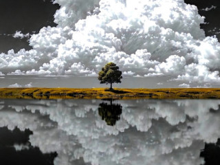 le-temps-dun-instant