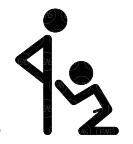 novice-cherche-experience-big-0