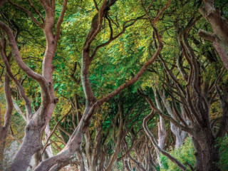 rencontre-pour-plaisir