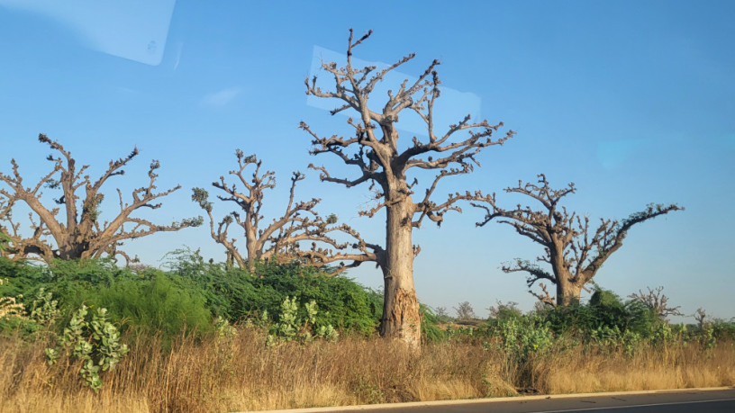 caresses-entre-hommes-big-0