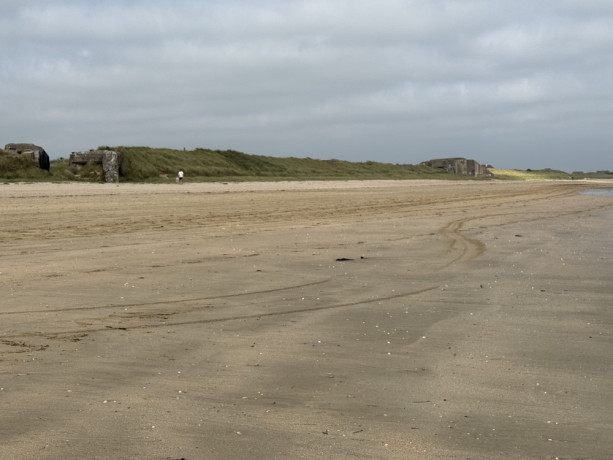 hbi-ch-h-rond-gros-poilu-big-0