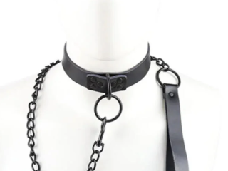 maitre-en-quete-de-sa-nouvelle-soumise