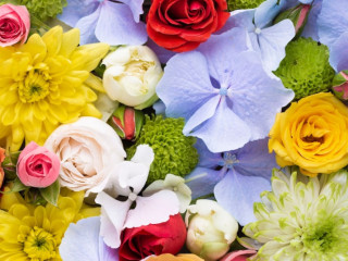 homme-noir-senior-cherche-h-pour-me-sucer-et-lecher