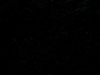 cherche-une-bite-a-sucer