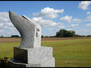 bonjour-recherche-compagnie-feminine-aimant-la-nature-et-la-foret-pour-balades