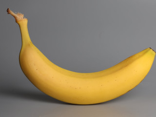 recherche-une-fellatrice