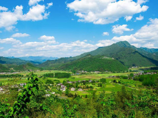 recherche-homme-mur-actif