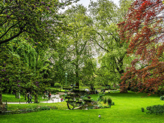 cherche-une-femme-a-feconder-entre-18-et-35-ans