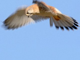 soulager-le-quotidien