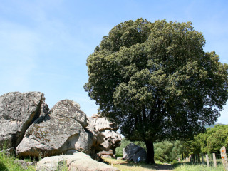 je-mennuie-dans-mon-couple