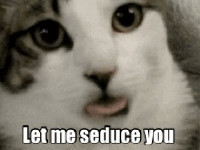 recherche-femme-pour-relation-coquine