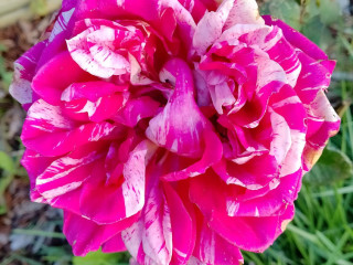 rencontre-fun-entre-mecs