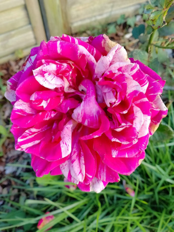 rencontre-fun-entre-mecs-big-0