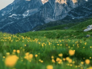 homme-curieux-et-desireux