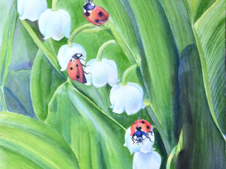 plaisir-detre-une-bonne-sucette