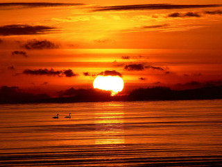 jh-tbm-cherche-une-jf-pour-plan-cu