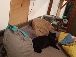 nous-recherchons-jh-moins-de-30-ans-pour-mme