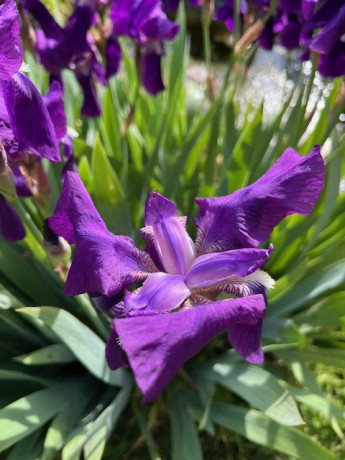 aventures-complices-big-0