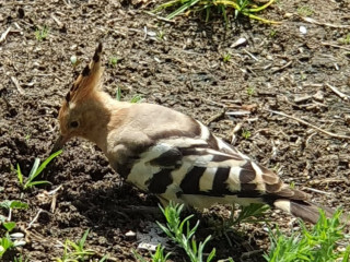 recherche-detente-pres-de-chez-moi