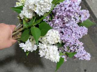 gay-pour-hetero-curieux-ou-bi-occasionnel