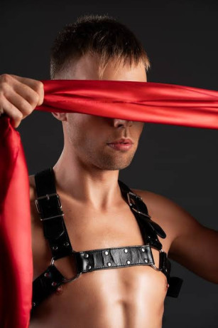 a-la-recherche-dun-actif-dominateur-big-0