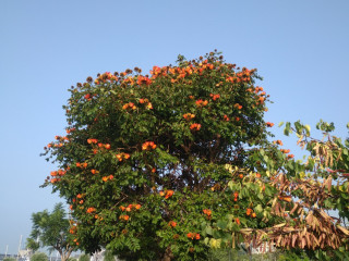 je-recherche-une-femme