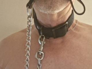 h-soumis-sans-collier