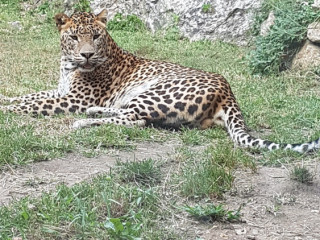 cherche-regulier-actif