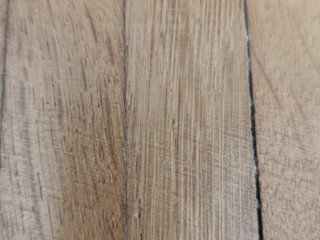 cherche-juteur-abondant