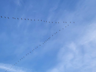 oeil-de-gabes-pour-les-connaisseurs