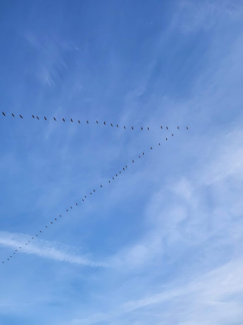 oeil-de-gabes-pour-les-connaisseurs-big-0