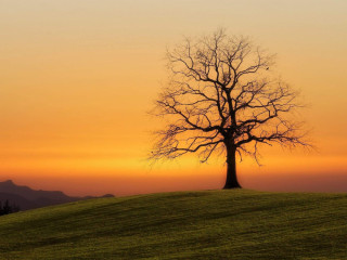 homme-pour-plaisirs-mutuel