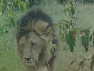 h-56-ans-versa-pour-versa-91