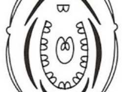 cherche-exhib-mutuelle