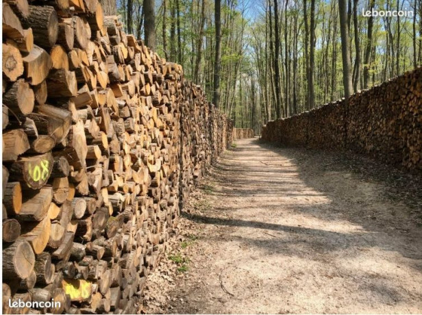 bois-de-chauffage-big-2