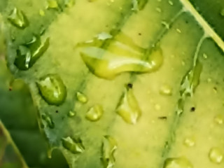 dial-sexe-avec-femme-au-telephone