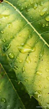 dial-sexe-avec-femme-au-telephone-big-0