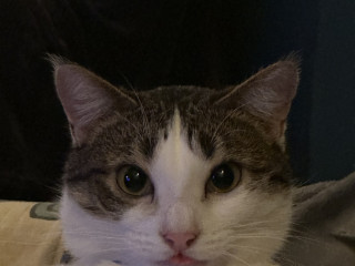 cpl-cherche-complices