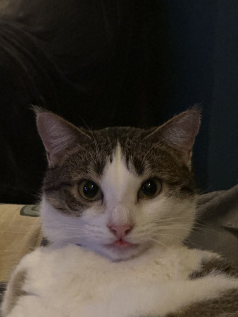 cpl-cherche-complices-big-0